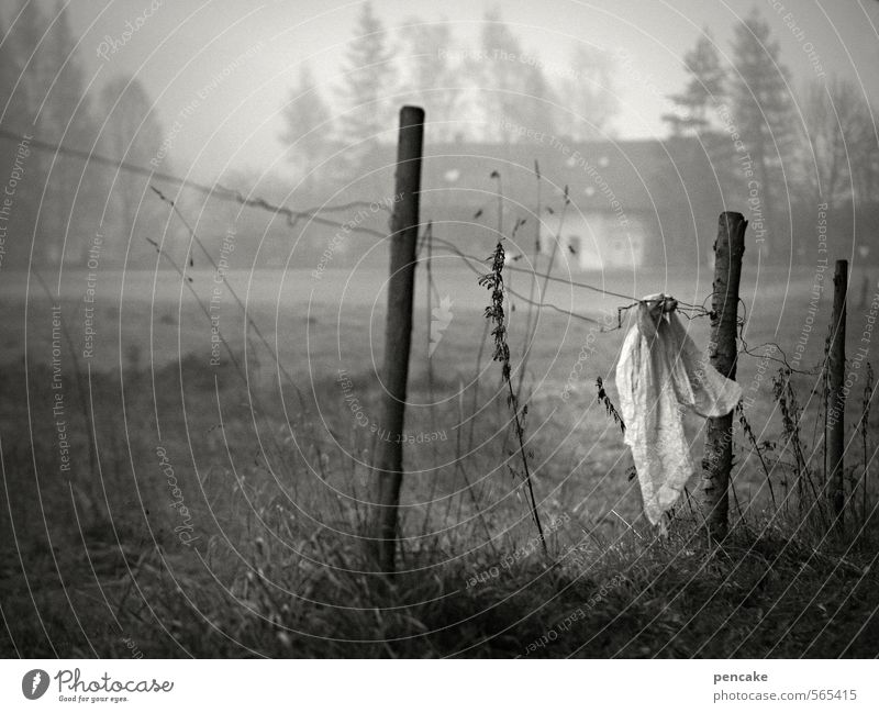 geisterstunde Kunst Künstler Schauspieler Puppentheater Landschaft Urelemente Herbst Gras Feld Zeichen verrückt Idylle komplex skurril Geister u. Gespenster