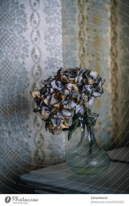Vergessen, trockene Blume in Vase vor alter 80er Jahre Tapete vergessen vergessen werden Einsamkeit Vergänglichkeit verfallen Vergangenheit Verfall Menschenleer