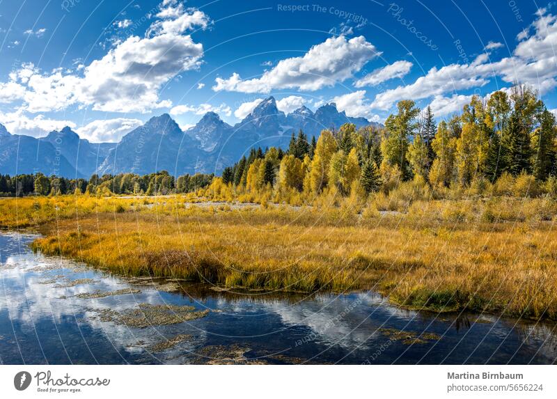 Landschaft mit Bergen, Bäumen und einem Fluss im Yellowstone National Park, Wyoming USA yellowstone amerika Morgen grün Geologie Schönheit reisen im Freien