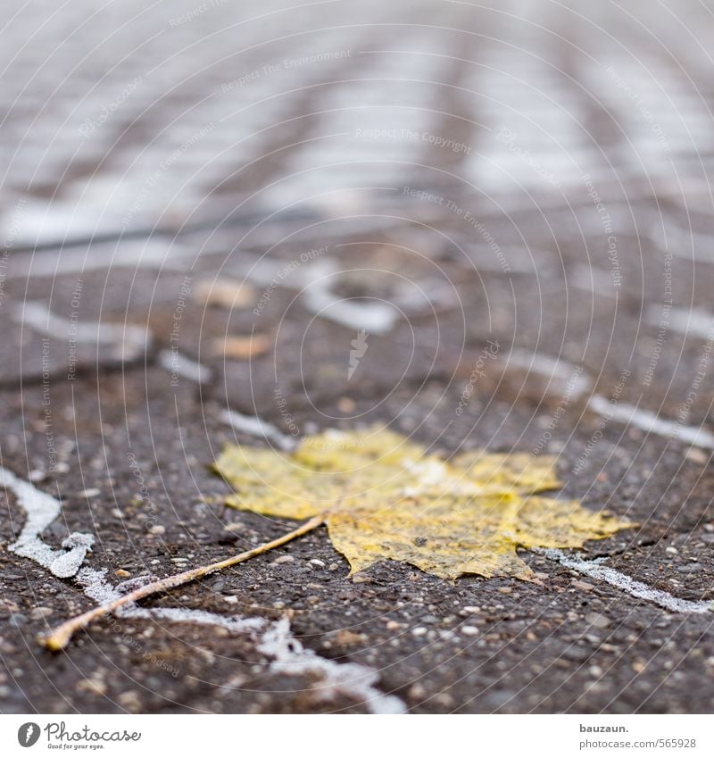 Festgefahren Natur Stadt Ein Lizenzfreies Stock Foto Von Photocase