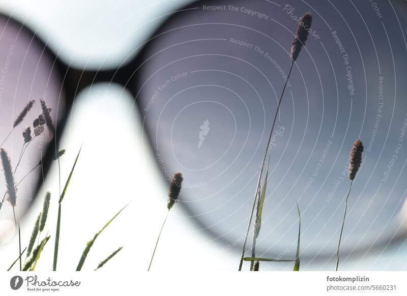 Sonnenbrillenblick auf Himmel und Halme Wetter Gräser Brille Lichtschutz Sommergefühl Gras blenden träumen in den himmel schauen verträumt Wiese fühlen