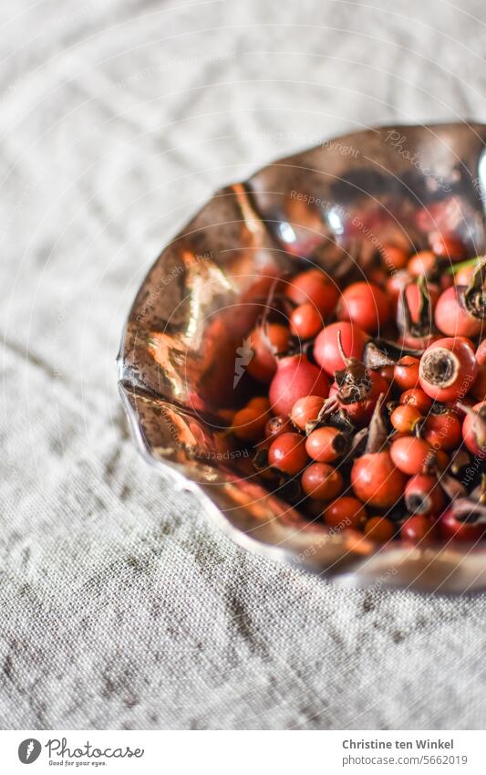 Hagebutten in einer alten silbernen Schale Früchte Schalen & Schüsseln Rosenfrüchte vitaminreich Herbstfrüchte Vitamin C Frucht Leinen rot Silberschale