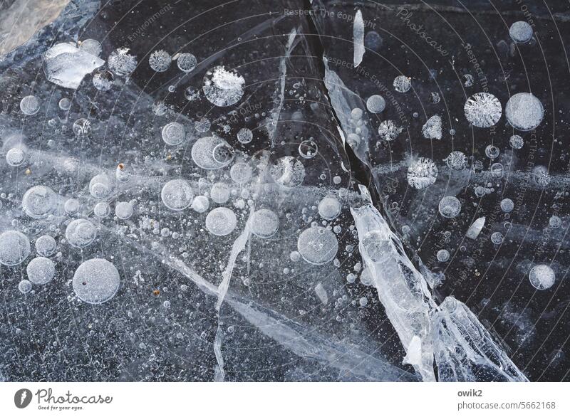 Eisperlen Pfütze vereist kalt Winter gefroren Frost Außenaufnahme Strukturen & Formen Schnee winterlich Menschenleer Nahaufnahme Natur frieren Farbfoto weiß