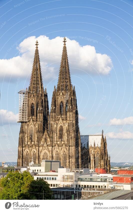 Kölner Dom bei schönem Wetter kölner Dom Wahrzeichen schönes Wetter Himmel Sehenswürdigkeit Kirche Religion & Glaube Architektur Kathedrale Tourismus