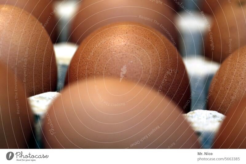 weg damit! |ab in die Pfanne Ei Eier Eierkarton Eierschale Gesundheit Bio Hühnerei Lebensmittel Ernährung Spiegelei Rührei Freilandhaltung Cholesterin