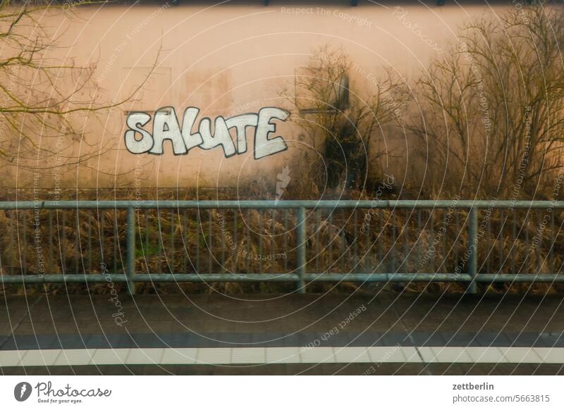 Salute again salute willkommenskultur gruß trinkspruch grafitti grafitto sprühen kalt trinken winter herbst einsam melancholie trübsal trist menschenleer