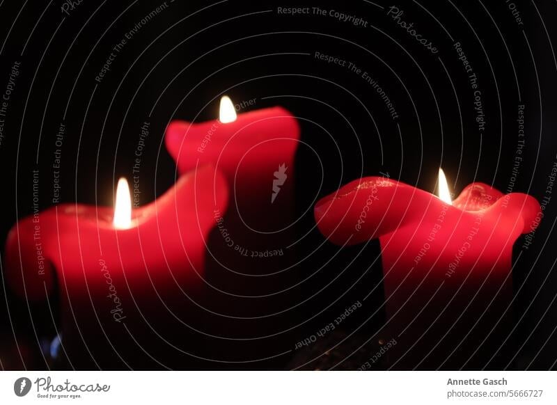 Kerzen im Dreierpack Kerzenschein Docht Licht Flamme Kerzenflamme brennen Weihnachten & Advent Kerzenlicht besinnlich Rot