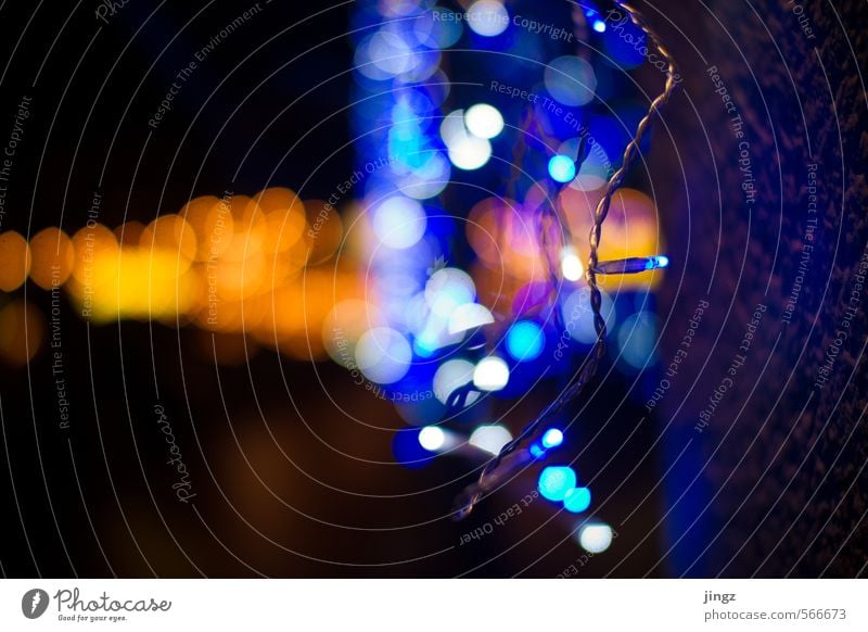 Light bubbles / Licht Bläschen Dekoration & Verzierung Weihnachten & Advent Kabel Lichterkette Menschenleer Mauer Wand Kitsch Krimskrams hängen leuchten