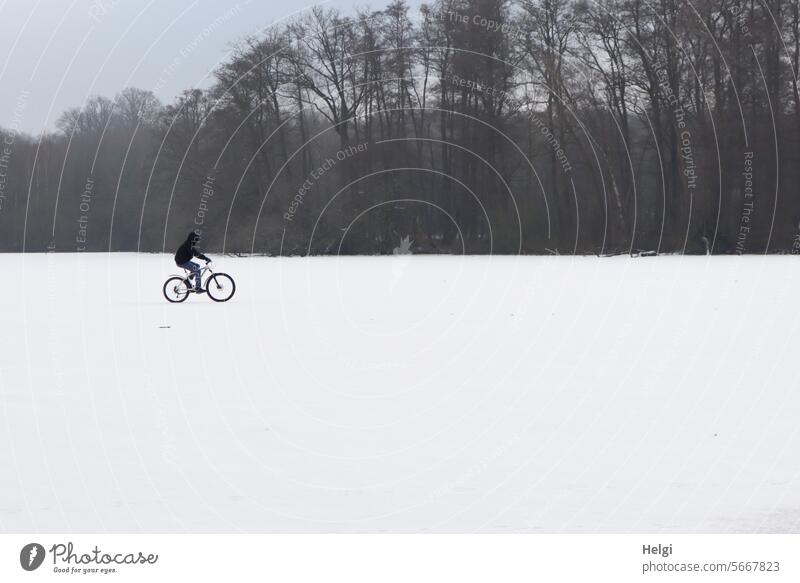 schaun wir mal was wird | ...ob das Eis hält? Winter Landschaft Mensch Radfahrer See zugefroren verschneit Fahrrad radfahren Eisschicht Schnee Wintertag