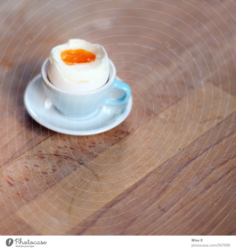 Tassen-Ei Lebensmittel Ernährung Essen Frühstück Büffet Brunch lecker Hühnerei kopflos Eierbecher Frühstückstisch Tisch Holztisch Cholesterin Eigelb Osterei