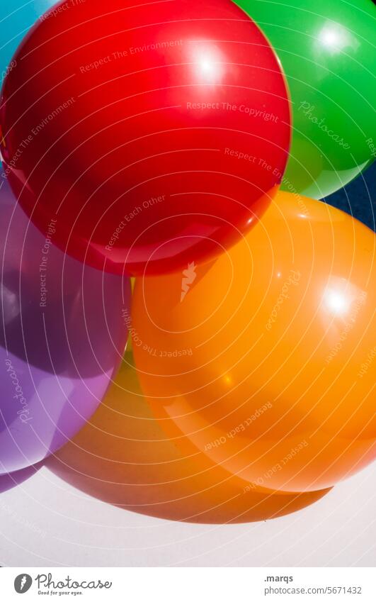 Luftballons Freisteller Kindheit Jahrestag Festtag Jubiläum Freiheit Freude Dekoration & Verzierung Veranstaltung Hochzeit Begeisterung festlich Karneval