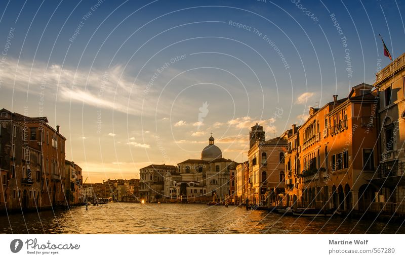 golden Venice Venedig Italien Europa Dorf Stadt Haus Ferien & Urlaub & Reisen Canal Grande Farbfoto Außenaufnahme Abend Sonnenaufgang Sonnenuntergang
