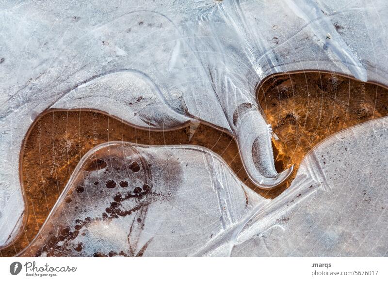 Wasserlauf Kälte Umwelt Nahaufnahme frieren Frost Winter kalt gefroren Muster Strukturen & Formen Pfütze Eis Eisstruktur unten Vergänglichkeit geheimnisvoll