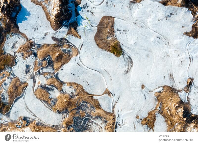 Eisig Eisstruktur Kälte unten Vergänglichkeit geheimnisvoll Eisschollen ästhetisch Umwelt Nahaufnahme ruhig Urelemente erstarren Eisfläche Natur Detailaufnahme