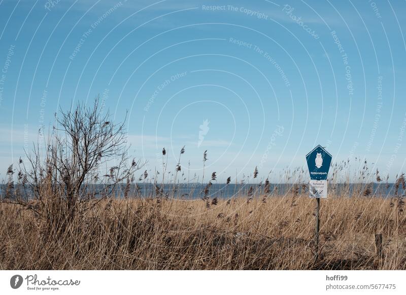Nationalpark - ein Schild informiert den Besucher Nationalpark Wattenmeer Dünenschutz Information Schilf Nordseeküste Artenschutz Strandspaziergang Nordseeinsel
