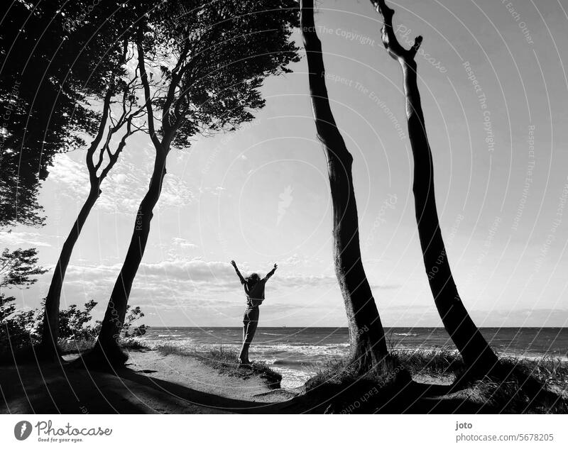 Person neben Bäumen streckt Arme in die Höhe im Hintergrund das Meer Frau Freiheit frei Ostsee ostseeküste Horizont Ostseeküste Natur Himmel