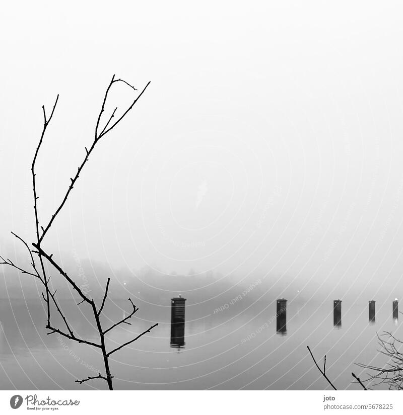 Kanal im Nebel Herbst herbstlich trüb Außenaufnahme Natur trist Oktober November Novemberwetter oktoberwetter Traurigkeit maritim Ostsee ostseeküste melancholie