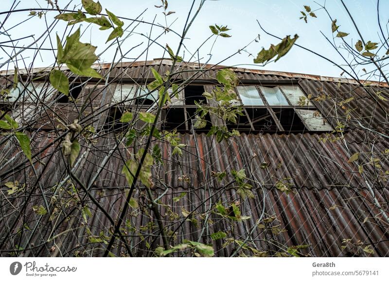 Gespenstisches verlassenes Haus zwischen den Bäumen in Tschernobyl Pripjat Ukraine Verlassen Unfall Entfremdung Architektur Herbst blau Gebäude Großstadt Wolken