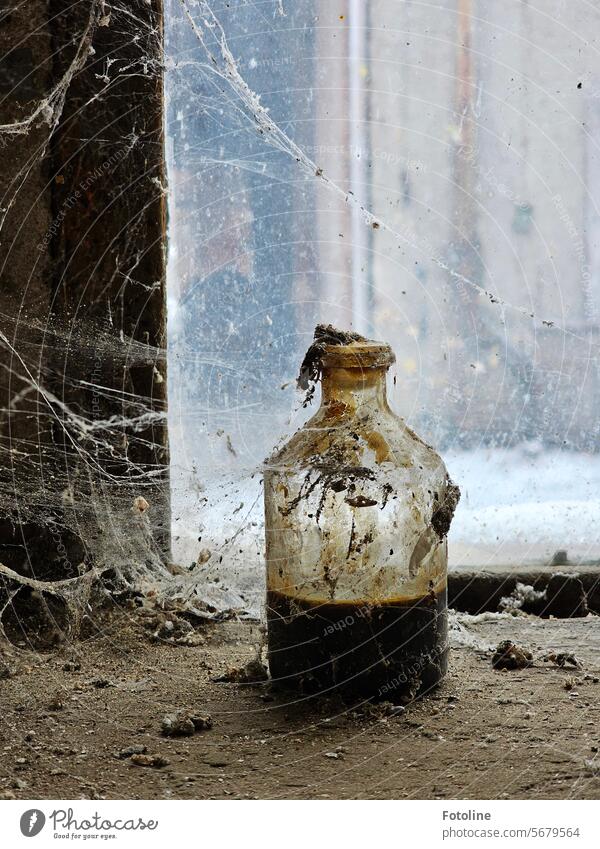 Ich sollte wohl mal wieder putzen! Eine schmutzige Flasche steht an einem dreckigen Fenster und ist mit Spinnweben eingesponnen. lost places verlassen alt