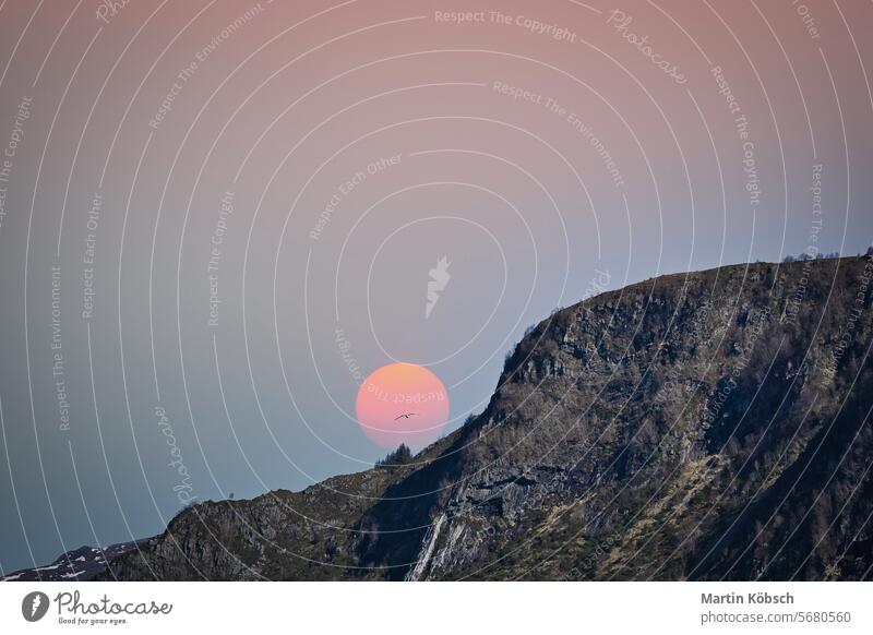 Westkappe in Norwegen. Ein Berg, der in den Fjord hineinragt. Rot leuchtender Mond Berge Küste Natur Wasser horizontal Fischen atlantisch Felsen Schnee