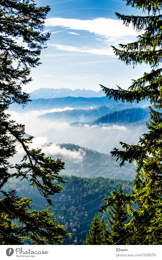 bob ross Berge u. Gebirge wandern Natur Landschaft Himmel Wolken Herbst Schönes Wetter Baum Sträucher Wald Alpen ästhetisch Kitsch nachhaltig blau grün ruhig