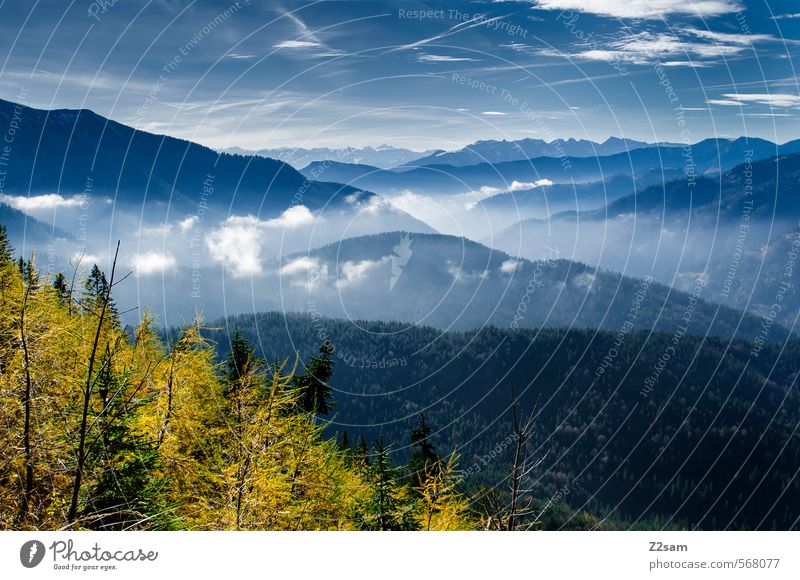 Herbstwandern Ausflug Natur Landschaft Himmel Schönes Wetter Baum Sträucher Wald Alpen Berge u. Gebirge ästhetisch hoch nachhaltig blau grün Gesundheit Horizont