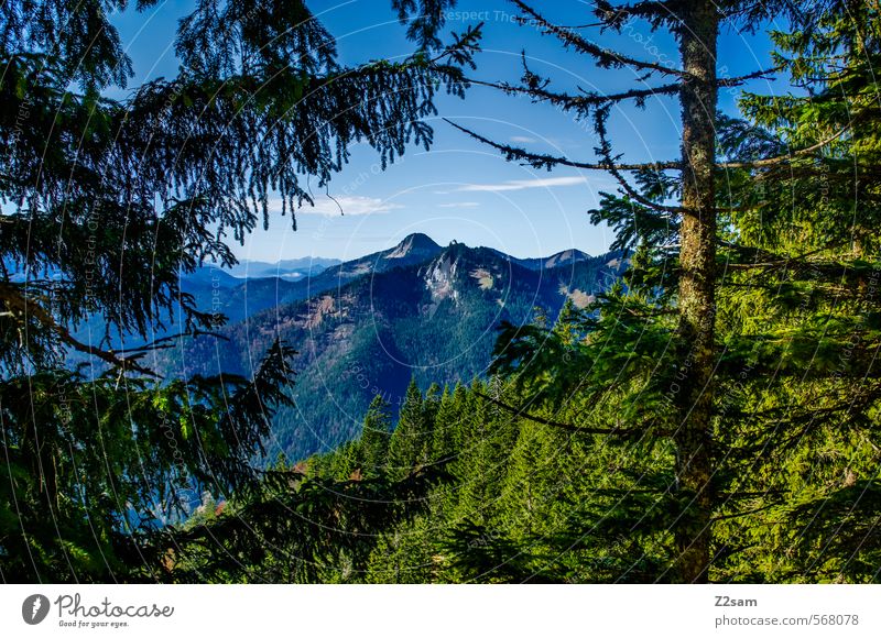 durchblick wandern Umwelt Natur Landschaft Himmel Herbst Schönes Wetter Baum Sträucher Wald Alpen Berge u. Gebirge Gipfel Ferne hoch natürlich Abenteuer