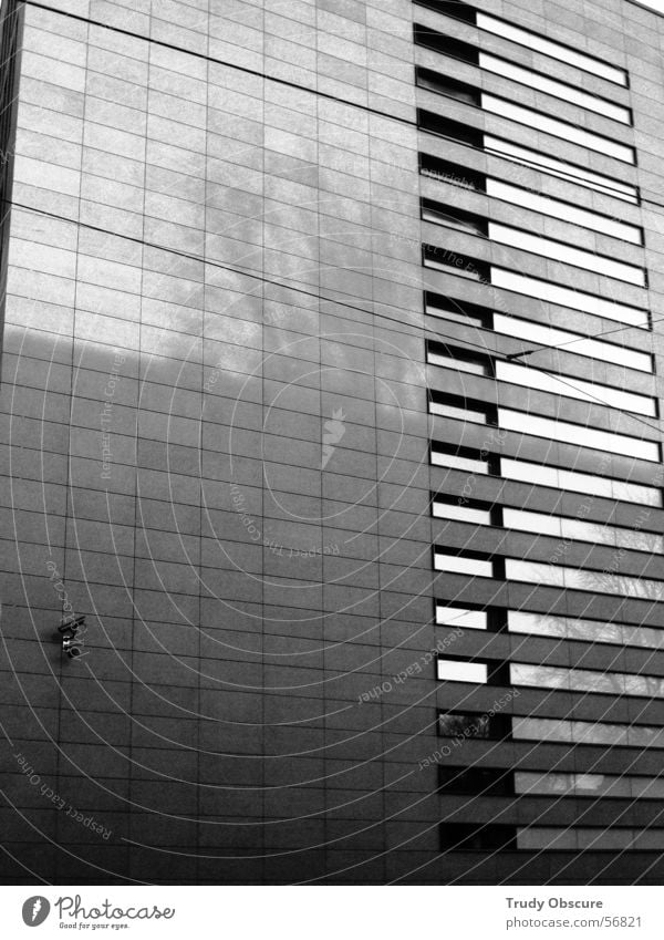 der zauberspiegel* Haus Gebäude Fassade Bürogebäude Arbeit & Erwerbstätigkeit Fenster Überwachung Überwachungskamera schwarz weiß grau dunkel