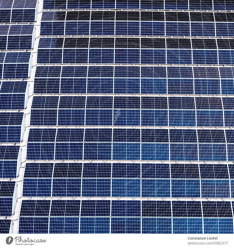 Photovoltaikfläche von oben gesehen Erneuerbare Energie Solarenergie Photovoltaikanlage Sonnenenergie nachhaltig Energiewirtschaft Solarzellen Energiegewinnung