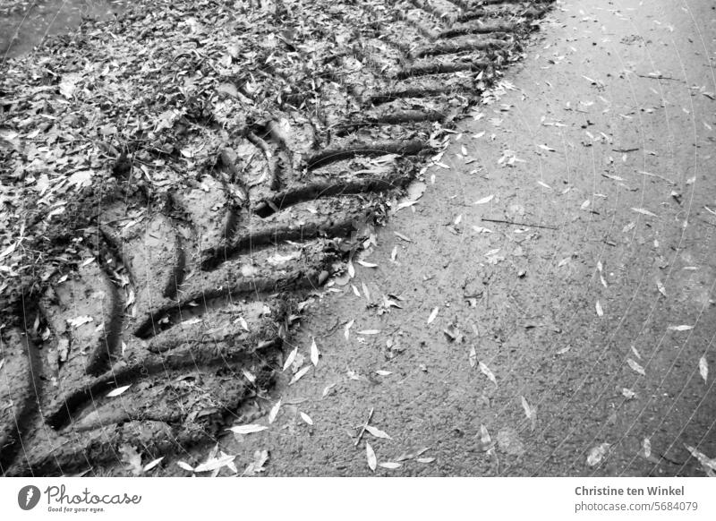 Reifenspuren eines Treckers auf aufgeweichter Erde Weg Schlamm Reifenprofil nach dem Regen Spuren Treckerreifen Treckerreifenprofil Abdruck Strukturen & Formen