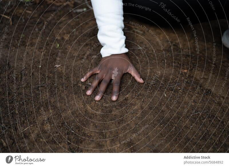 Unerkennbare schwarze Frau berührt mit der Hand den nassen Boden Handfläche Wald Hülse Finger Landschaft ethnisch Afroamerikaner ländlich lässig Umwelt