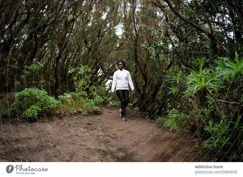 Schwarze Frau, die einen Weg im Wald entlanggeht Tourist Spaziergang Windstille Baum Park allein Landschaft jung lässig Afroamerikaner ethnisch schwarz ernst