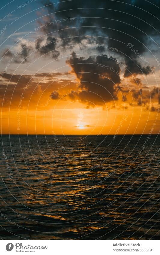 Miami Sonnenuntergang über dem Ozean Horizont Meer Florida USA Himmel Wolken Abenddämmerung Dämmerung orange gelb Reflexion & Spiegelung Wasser MEER Sonnenlicht