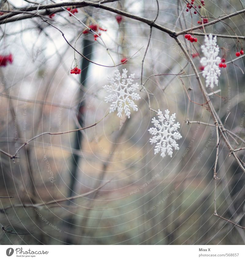 Leise Rieselt Der Schnee Ein Lizenzfreies Stock Foto Von Photocase