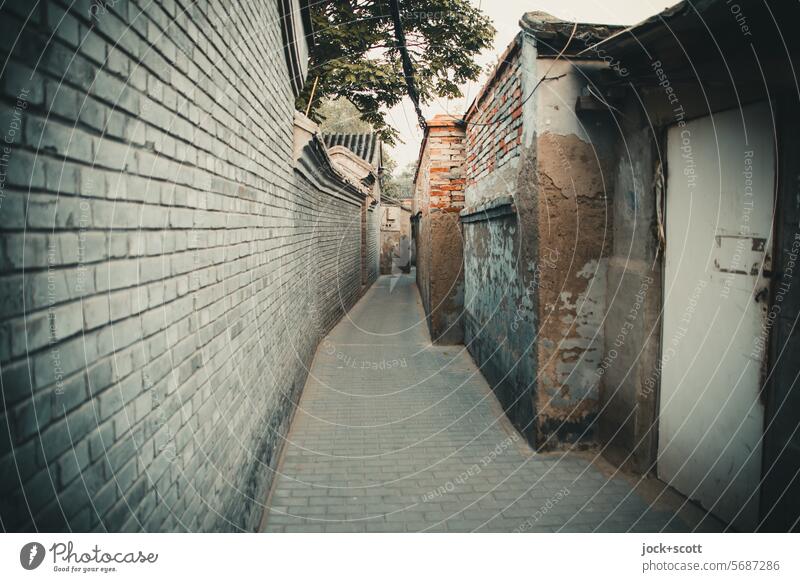 viele Wege führen durch die Altstadt Hutong China Peking Wege & Pfade Mauer authentisch historisch Sehenswürdigkeit Weltkulturerbe Chinesische Architektur