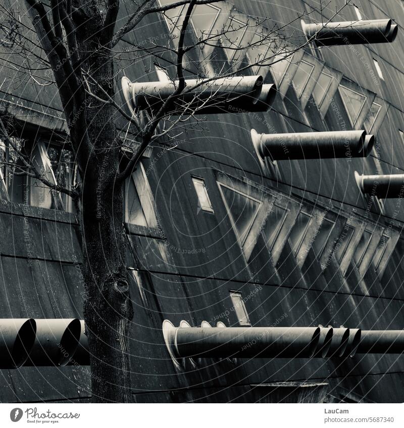 Baum vor Brutalismus brutalistisch brutalistische Architektur Beton grau Fassade Gebäude Bauwerk bedrohlich düster dunkel gewöhnungsbedürftig Geschmackssache