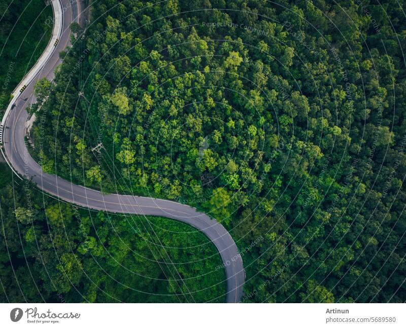 Luftaufnahme von dichten grünen Bäumen im Wald erfassen CO2 und Kurve Autobahnstraße. Grüne Bäume im Hintergrund für Kohlenstoffneutralität und Netto-Null-Emissionskonzept. Nachhaltige grüne Umwelt. Kohlenstoff-Gutschrift