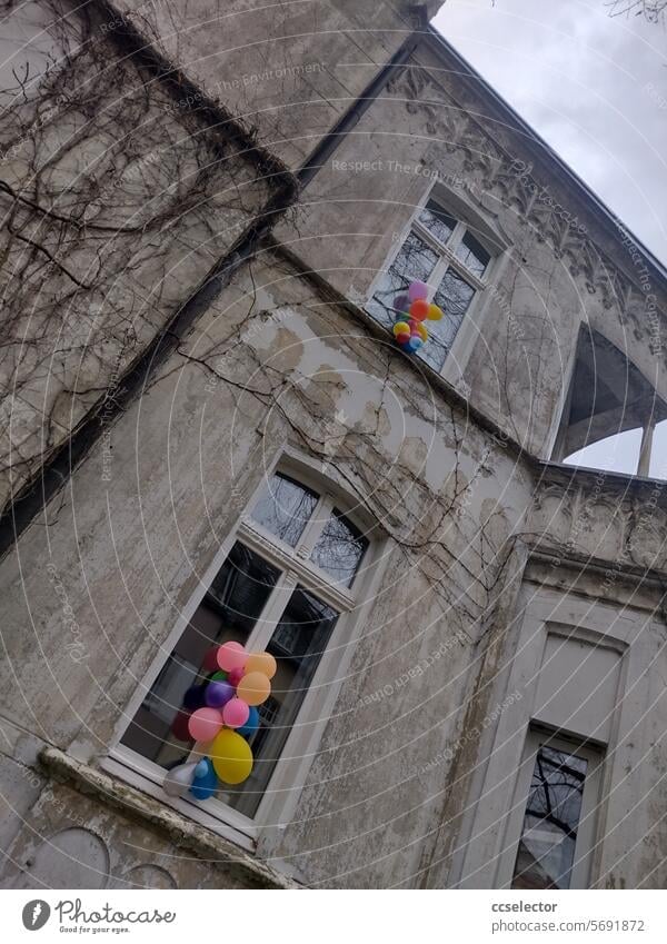 Bunte Luftballons befestigt an zwei Fenstern eines Altbaus aus der Gründerzeit. bunt Altbausanierung Gentrifizierung Geburtstag Fassade Menschenleer Farbfoto