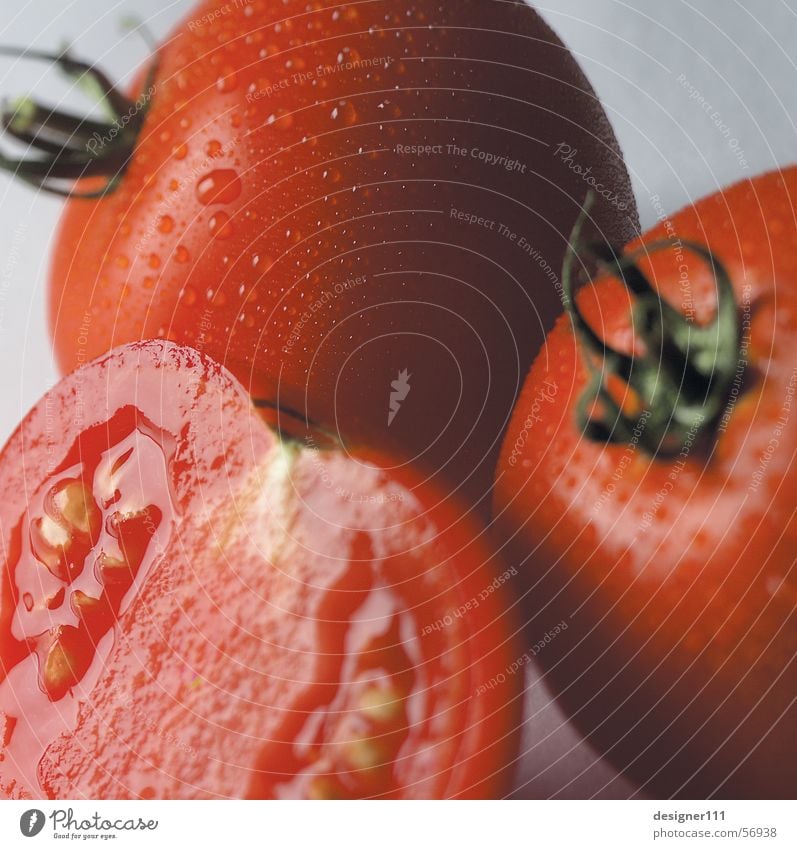 Tomaten rot Italien Spanien Griechenland Türkei Gesundheit Vorspeise Stillleben Ernährung mozzarella