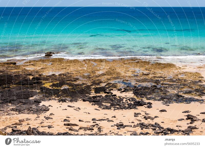 Küste Sommerurlaub Erholung Ferien & Urlaub & Reisen Schönes Wetter Horizont Meer Sand Strand reisen Küstenlinie Freiheit Tourismus Farbe karg Stein Landschaft