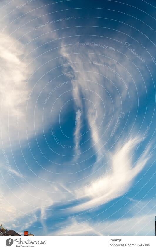 Zerzauste Federwolke Federwolken Cirrus Klima Urelemente Schönes Wetter Natur Wolken Himmel Wolkenhimmel blau Luft Cirruswolke Wolkenformation Klimawandel