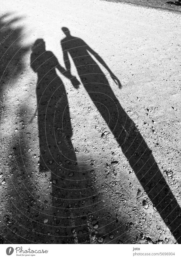 Zwei Personen werfen zwei Silhouetten als Schatten auf den Boden Liebe lieben Paar Händchenhalten händchen haltend händchenhaltend silhouetten Schattenwurf