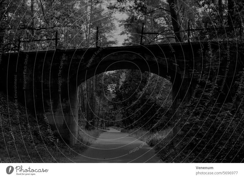 Analoge Schwarzweißfotografie, Radweg in der Natur in der Nähe von Berlin, alte Kleinbahnbrücke analog Analogfoto analoge fotografie Analogfotografie