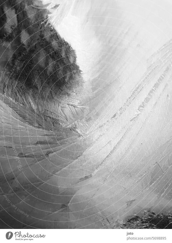 Gefrorenes Eis an einer Fensterscheibe mit Häusern im Hintergrund Schnee Linien und Formen Winter Januar Februar März Frost Spuren Strukturen & Formen Kontrast