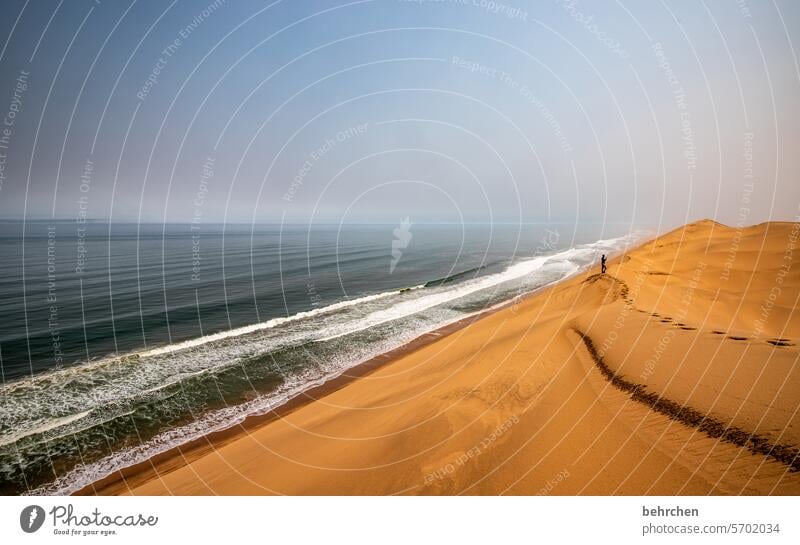 zusammenspiel Ferne Namibia Afrika Wüste Sand Meer Ozean weite Fernweh Sehnsucht reisen Farbfoto Landschaft Ferien & Urlaub & Reisen Natur Freiheit Einsamkeit