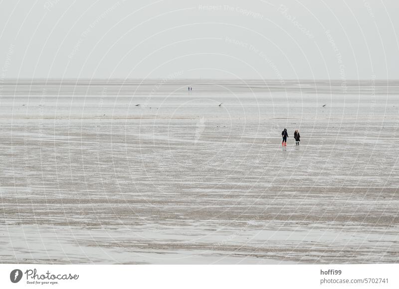 Menschen gehen bei Ebbe im Wattenmeer spazieren - das Wetter ist diesig bedeckt und kalt Wattenmeer an der Nordsee Küste Wattwanderung Gezeiten Schlick