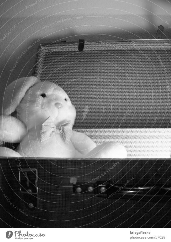 auferstehung des osterhasen Hase & Kaninchen Stoffhase Stofftiere Licht Schwarzweißfoto Osterhase Koffer Tierfigur