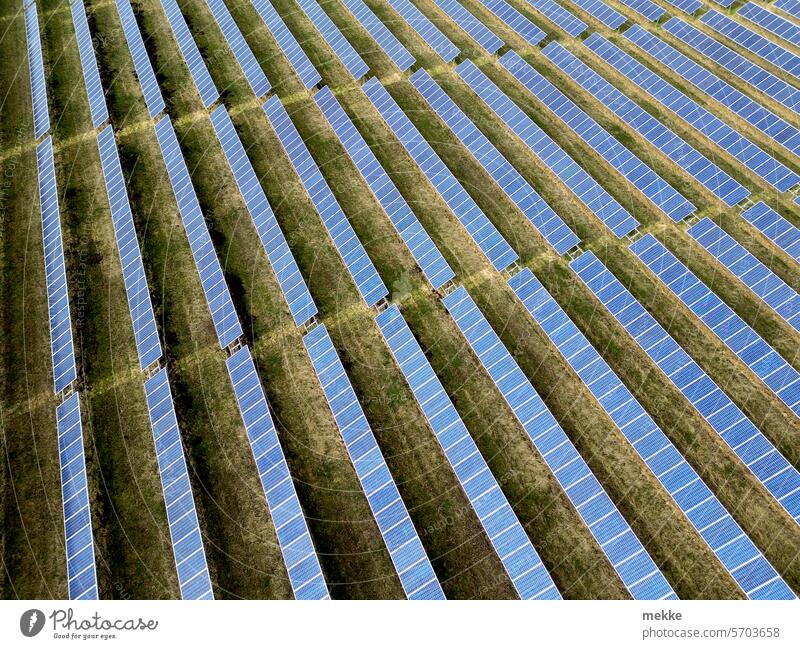 Paralleler Gleichstrom aus Sonnenkraft Solarpark Solarkraftwerk Solaranlage Erneuerbare Energie Photovoltaik Solarzellen Sonnenenergie Solarenergie