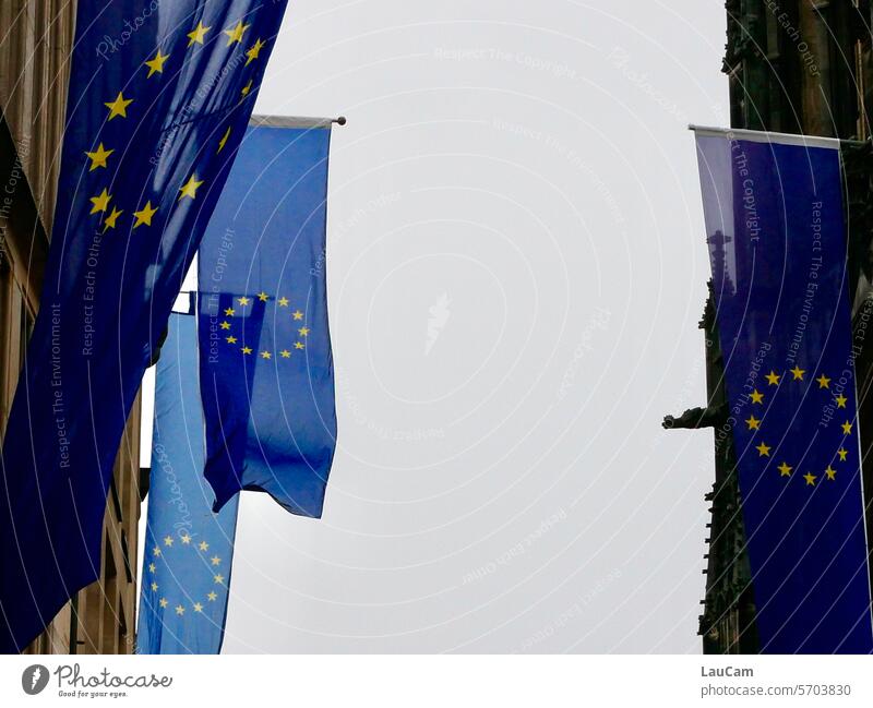 Europaflaggen europäisch Europäer Europäerin Flagge Fahne Europäische Union Europafahne EU blau gelb Sterne Kreis Zusammenhalt Gemeinschaft gemeinsam