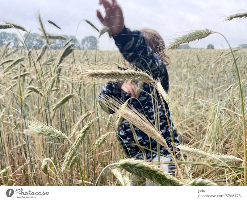 Kind läuft durchs Kornfeld Kindheit Ähren ährenfeld Sommer bewölkt verstecken schämen Scham entdecken Natur Feld Landwirtschaft Wachstum hoch trotzig trotzen
